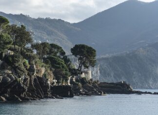 Ile kosztuje prototyp aplikacji?