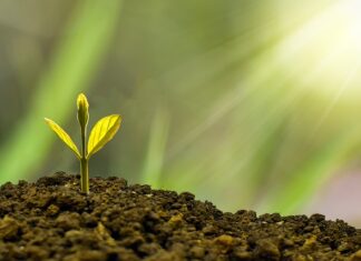 Ku czemu zmierza rozwój? Ku czemu zmierza rozwój?