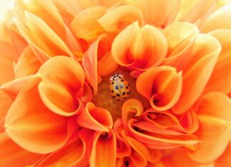 Ile czasu trwa efektywna nauka?