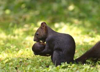Jak poradzić sobie z przeprowadzką do innego kraju?