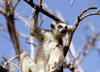 Co wpływa na zachowanie ludzi? Co wpływa na zachowanie ludzi?