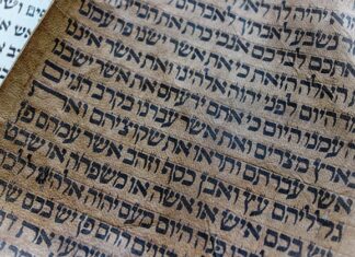 Czy można kopiować zdjęcia z internetu?