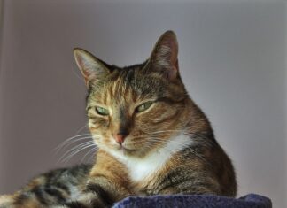 Co znaczy intuicyjny interfejs? Co znaczy intuicyjny interfejs?