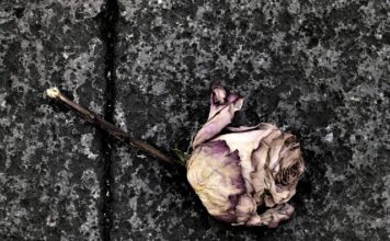 Jak podjąć decyzję o odejściu z pracy?