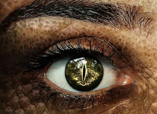 Co z ucznia który nie zdał egzaminu poprawkowego?