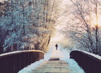 Jak szybko przejść z B2 na C1?