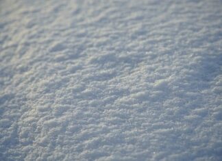 Jak zdać pierwszy semestr na studiach?