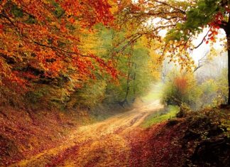 Kiedy zaczyna się rok studencki w Holandii?