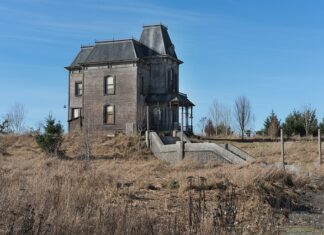 Gdzie znajduje się psychika? Gdzie znajduje się psychika?