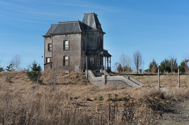 Gdzie znajduje się psychika? Gdzie znajduje się psychika?