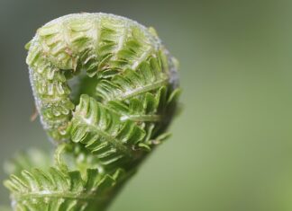 W jaki sposób można rozwijać swoją przedsiębiorczość?