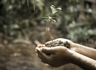 Co ma wpływ na rozwój przedsiębiorstwa?