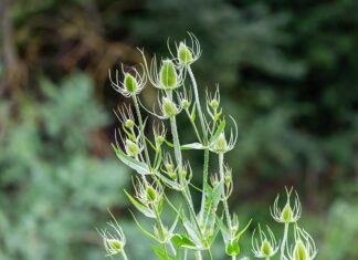 Czy na studiach są sprawdziany i kartkówki? Czy na studiach są sprawdziany i kartkówki?